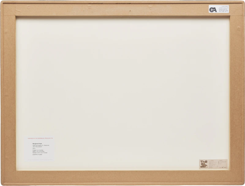 Margaret Priest, Hope and Reality II: Sheetrock 1917-the present, graphite, 2015 - view 3