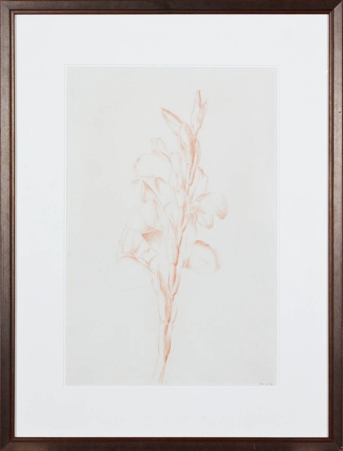 Lionel LeMoine FitzGerald, Red Conte Floral, conte crayon, 1936